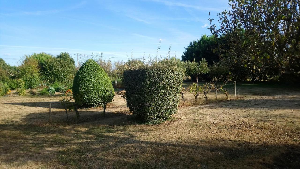 Chambres D'Hotes Du Domaine De Lansac Lansac  ภายนอก รูปภาพ
